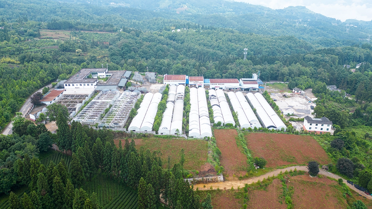 生产基地10
